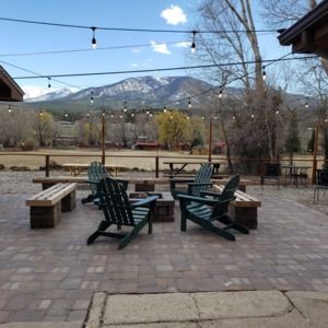 Meet your Posher, Martha